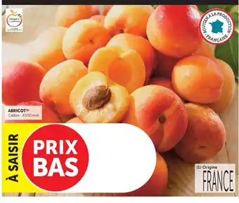 U Express ABRICOT offre