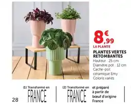 Super U Cache-pot Emy offre