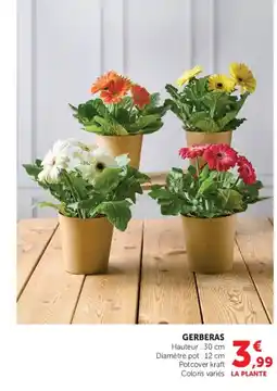 Hyper U GERBERAS offre
