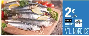 Pavillon France Sardine