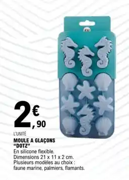 E.Leclerc Dotz moule à glaçons offre