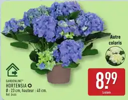 ALDI GARDENLINE HORTENSIA offre