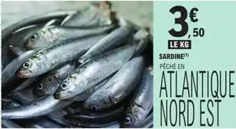 E.Leclerc Sardine offre