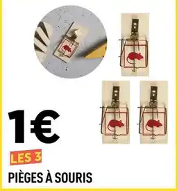 Centrakor Pièges à souris offre