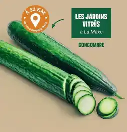 Fresh LES JARDINS VITRÉS CONCOMBRE offre