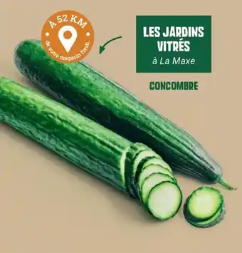 LES JARDINS VITRÉS CONCOMBRE