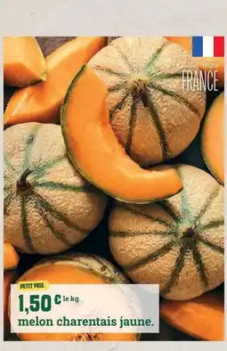 Fresh melon charentais jaune offre
