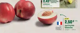 Fresh Nectarine blanche offre
