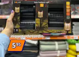 Action SOLAR Piquets de jardin offre
