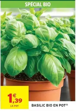 Intermarché Express SPÉCIAL BIO BASILIC BIO EN POT offre