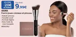 Costco Sigma fard à joues crémeux et pinceau offre