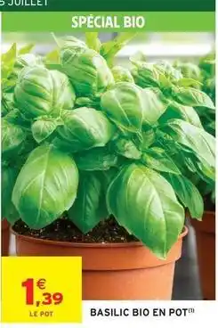Intermarché Express Basilic bio en pot offre