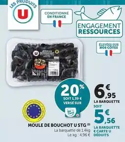 U Express U - moule de bouchot stg offre