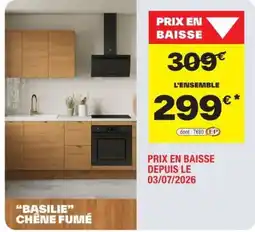 Brico Dépôt BASILIE CHÊNE FUMÉ offre