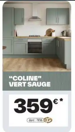 Brico Dépôt COLINE VERT SAUGE offre