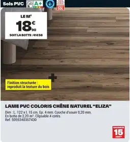 Brico Dépôt LAME PVC COLORIS CHÊNE NATUREL "ELIZA" offre