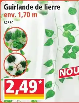 Norma Guirlande de lierre offre