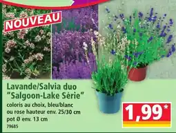 Norma Lavande/Salvia duo "Salgoon-Lake Série" offre