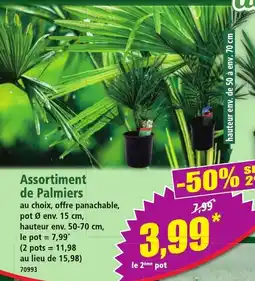 Norma Assortiment de Palmiers offre