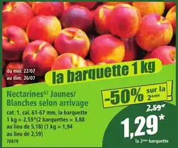 Norma Nectarines offre