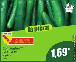 Norma Concombre offre