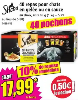 Norma Sheba Delicatesses offre