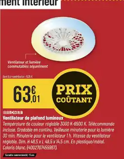 Bricorama BRILIONER Ventilateur de plafond lumineux offre