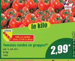 Norma Tomates rondes en grappes offre