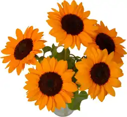 Auchan Sans marque bouquet de 5 tournesols offre