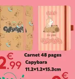 Maxi Bazar Carnet 48 pages capybara offre