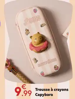 Maxi Bazar Trousse à crayons capybara offre