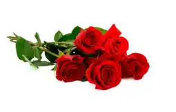 Auchan Sans marque bouquet de 5 roses très gros boutons offre