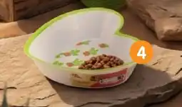 b&m Bol motifs cactus offre