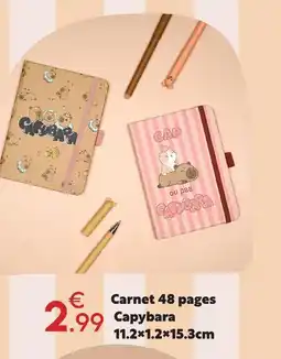 Maxi Bazar Carnet 48 pages capybara offre
