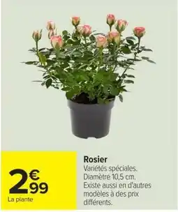 Carrefour Rosier offre