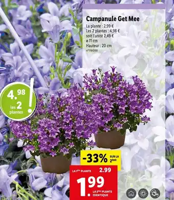 Lidl Campanule Get Mee offre