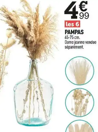 Centrakor Pampas offre