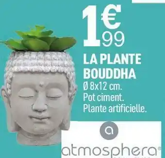 Centrakor Anmosphere la plante bouddha offre