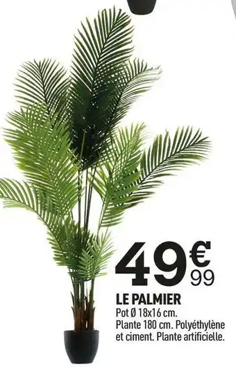 Centrakor Le palmier offre