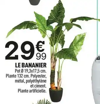 Centrakor Le bananier offre