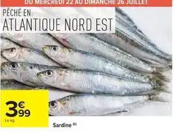 Carrefour Market Sardine offre