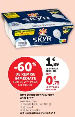 Bi1 Yoplait SKYR offre