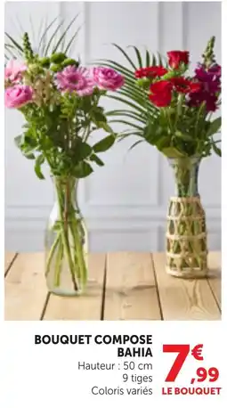 Bi1 BAHIA Bouquet compose offre