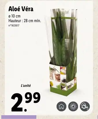 Lidl Aloé Véra offre
