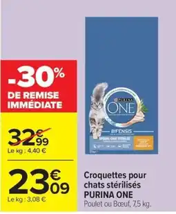 Carrefour Market PURINA ONE offre