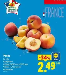 Lidl Lidl - pêche offre