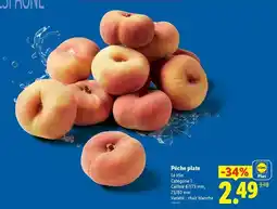 Lidl Lidl - pêche- plate offre