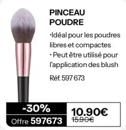 Stanhome PINCEAU POUDRE offre