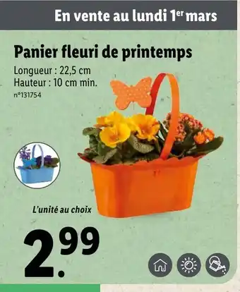 Lidl Panier fleuri de printemps offre