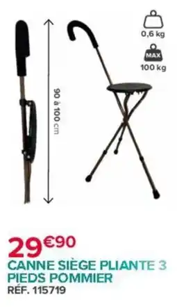 Bastide CANNE SIÈGE PLIANTE 3 PIEDS POMMIER offre